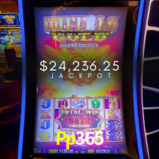 Pp365: A Experiência de Casino com Jogos de Mesa ao Vivo